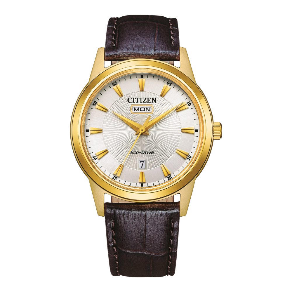 Citizen Eco-Drive AW0102-13A Citizen