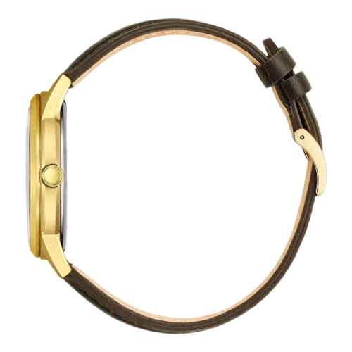 Citizen Eco-Drive AW0102-13A Citizen