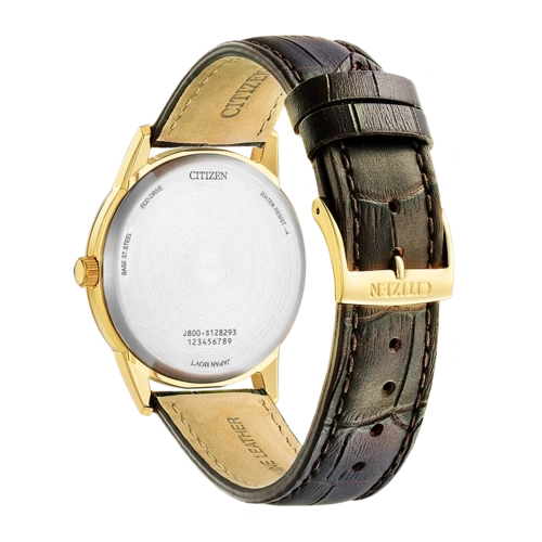 Citizen Eco-Drive AW0102-13A Citizen