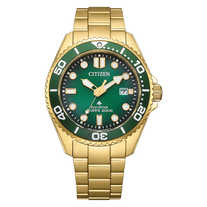 Citizen Eco-Drive BN0262-59W Citizen