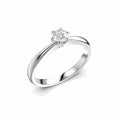 Festive Classic 23 Timanttisormus 0,30 ct valkokulta