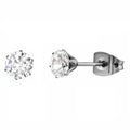 Titanium earrings clear zirconia 5 mm