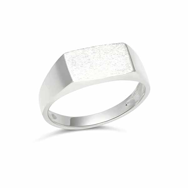 Hopeakastesormus laatta