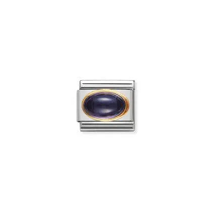 Nomination-pala Classic Gold Oval Stone Ioliitti 030504/04 Nomination