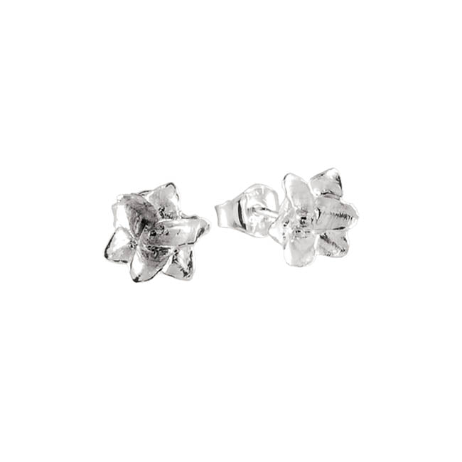 Tammi Jewellery Tulppaani Korvakorut S4495