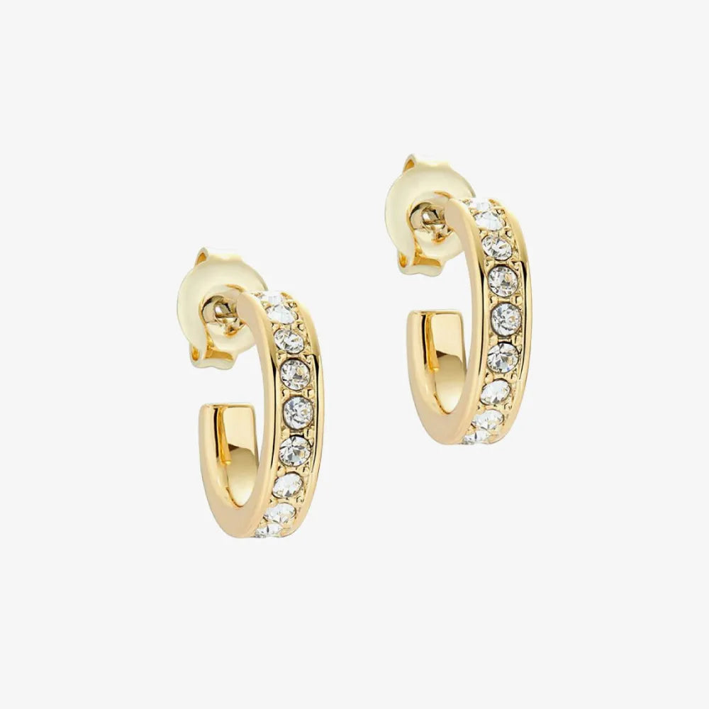 Ted Baker Seenita Huggie Hoop korvakorut TBJ2767-02-02