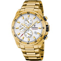 Festina Chrono Sport F20541/1