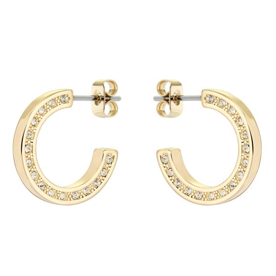 Ted Baker Senatta korvakorut TBJ2983-02-02 Ted Baker