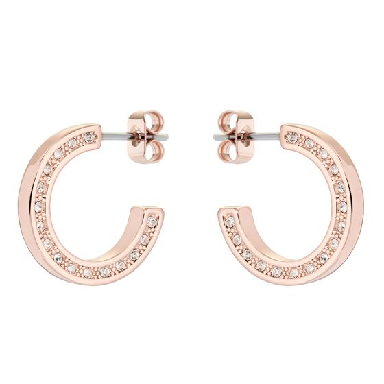 Ted Baker Senatta korvakorut TBJ2983-24-02 Ted Baker