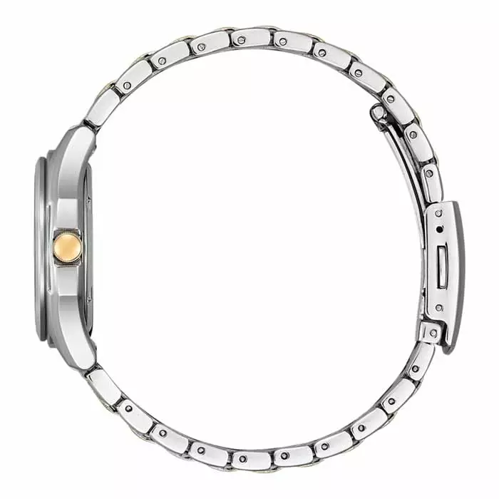 Citizen Eco-Drive FE2116-85A Citizen
