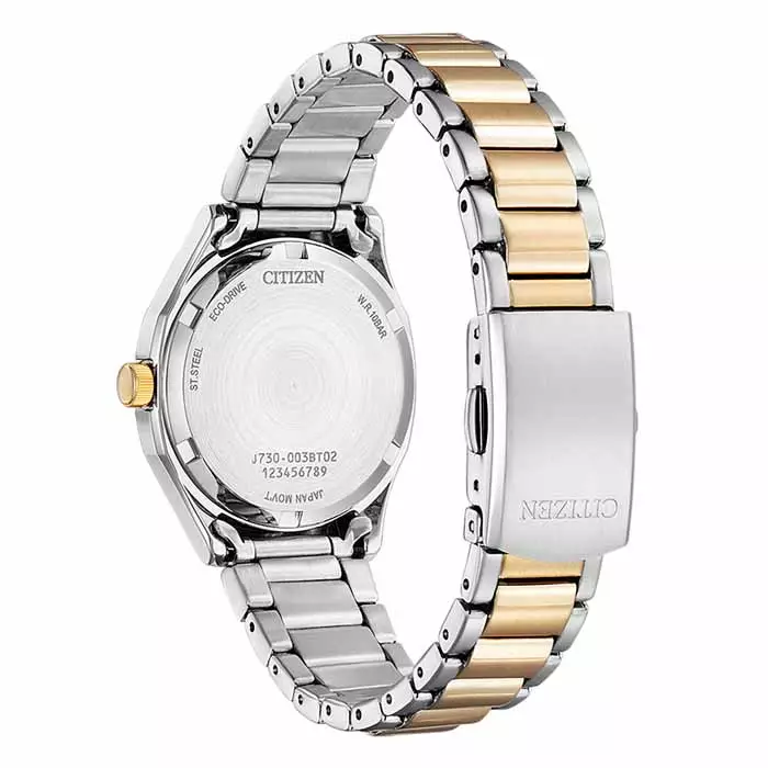 Citizen Eco-Drive FE2116-85A Citizen