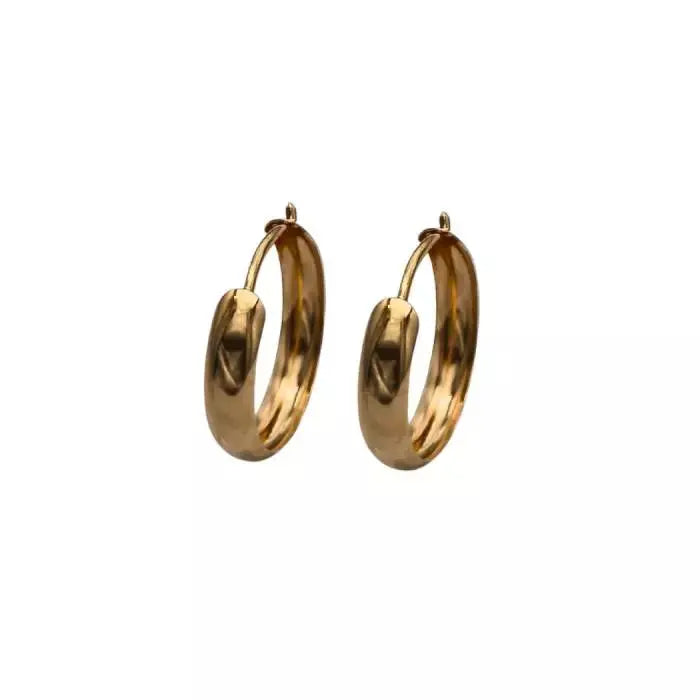 Gold hoop earrings 2.5 x 12 mm HMAU-033